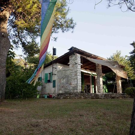 Holiday Home Dajla 35 Novigrad Istria Esterno foto