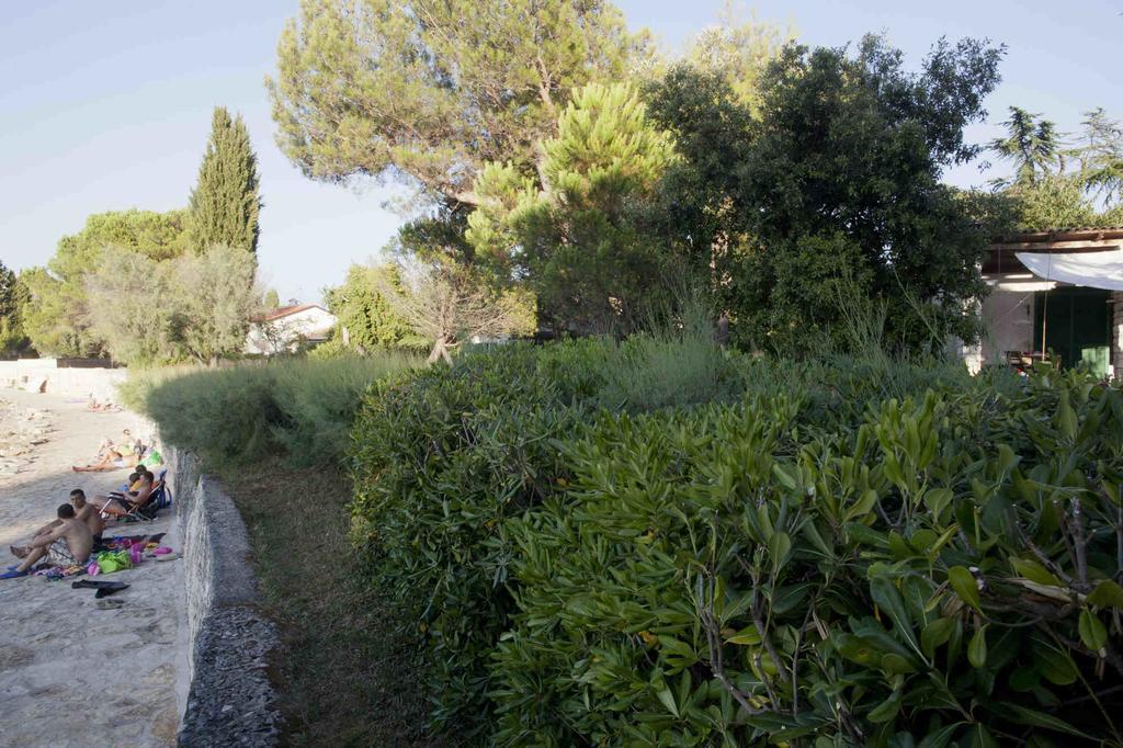 Holiday Home Dajla 35 Novigrad Istria Esterno foto