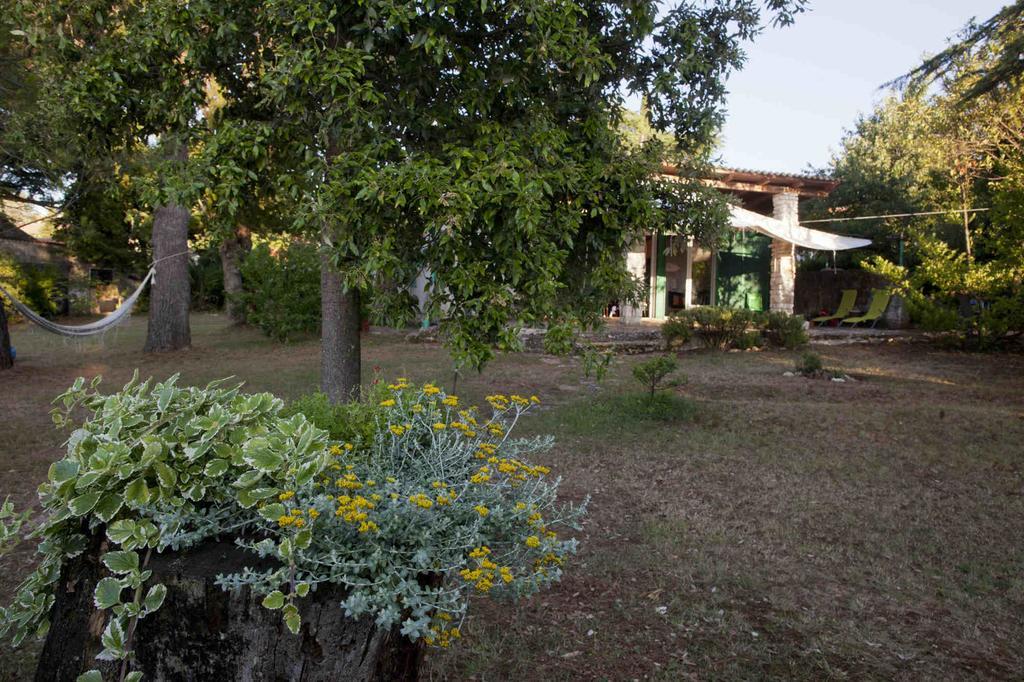 Holiday Home Dajla 35 Novigrad Istria Esterno foto